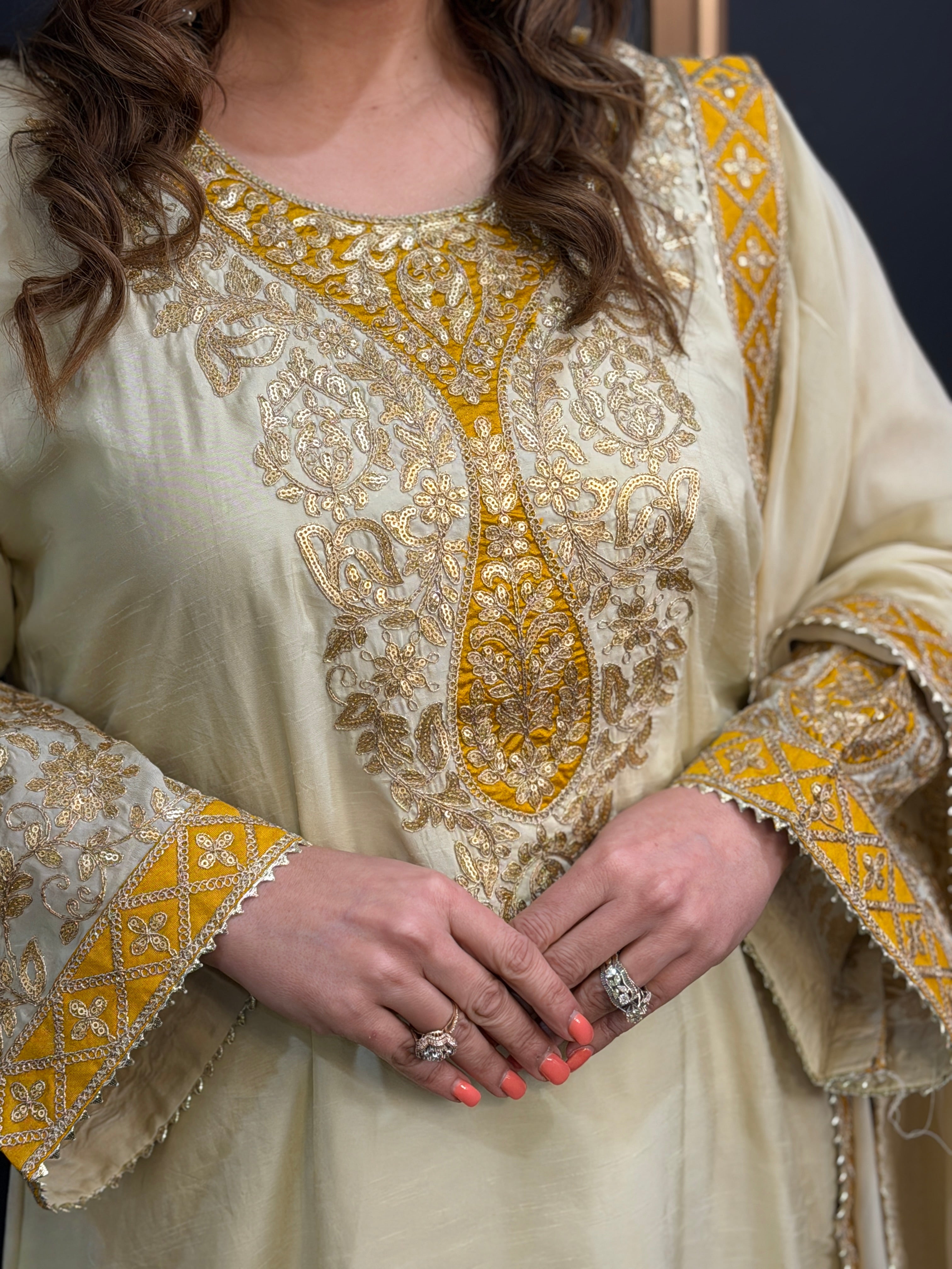 Premium Salwar Kameez - Salwar Kameez (3)