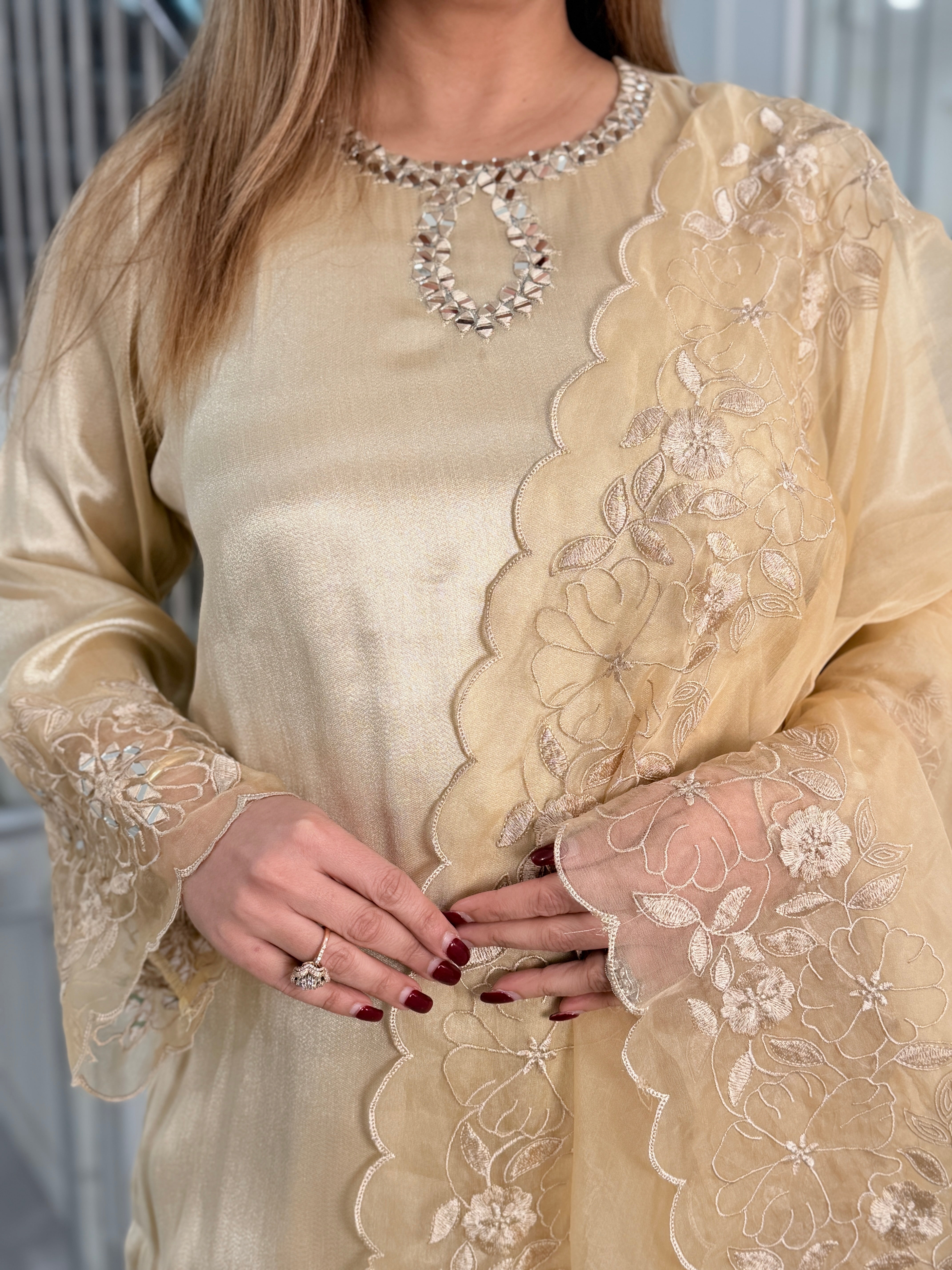 Premium Salwar Kameez - Salwar Kameez (4)